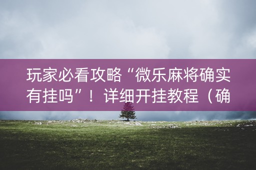 玩家必看攻略“微乐麻将确实有挂吗”！详细开挂教程（确实真的有挂)-知乎