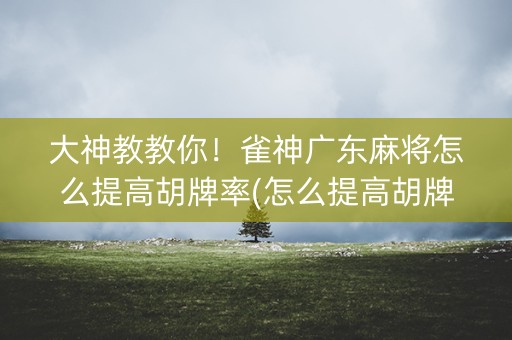 大神教教你！雀神广东麻将怎么提高胡牌率(怎么提高胡牌率)