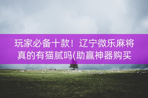 玩家必备十款！辽宁微乐麻将真的有猫腻吗(助赢神器购买)