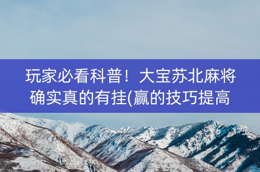玩家必看科普！大宝苏北麻将确实真的有挂(赢的技巧提高胜率)