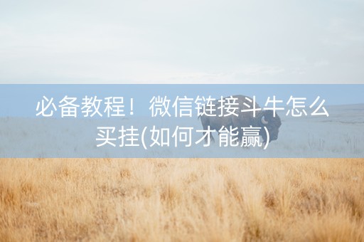 必备教程！微信链接斗牛怎么买挂(如何才能赢)
