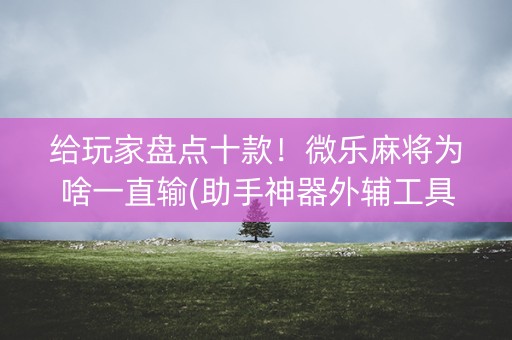 给玩家盘点十款！微乐麻将为啥一直输(助手神器外辅工具)