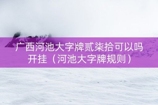 广西河池大字牌贰柒拾可以吗开挂（河池大字牌规则）