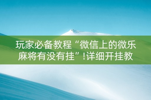 玩家必备教程“微信上的微乐麻将有没有挂”!详细开挂教程-知乎