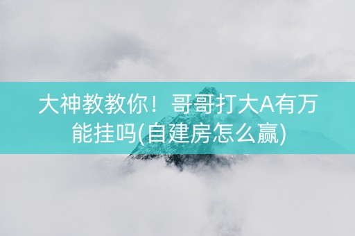 大神教教你！哥哥打大A有万能挂吗(自建房怎么赢)
