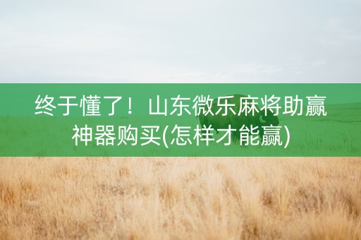 终于懂了！山东微乐麻将助赢神器购买(怎样才能赢)