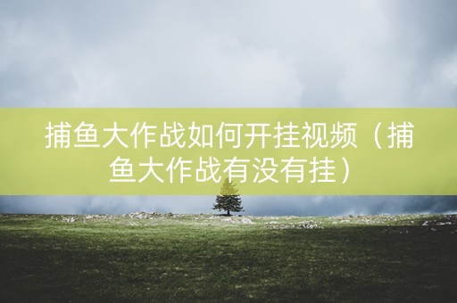 捕鱼大作战如何开挂视频（捕鱼大作战有没有挂）