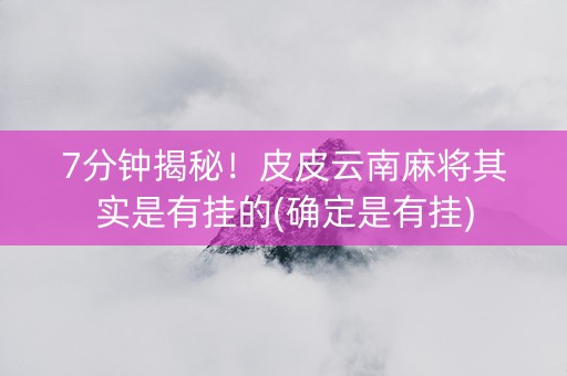7分钟揭秘！皮皮云南麻将其实是有挂的(确定是有挂)