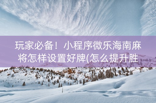 玩家必备！小程序微乐海南麻将怎样设置好牌(怎么提升胜率)