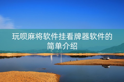 玩呗麻将软件挂看牌器软件的简单介绍