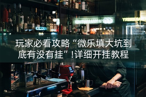 玩家必看攻略“微乐填大坑到底有没有挂”!详细开挂教程-知乎
