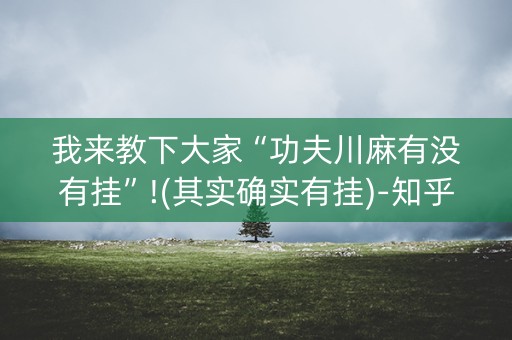 我来教下大家“功夫川麻有没有挂”!(其实确实有挂)-知乎