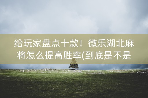 给玩家盘点十款！微乐湖北麻将怎么提高胜率(到底是不是有挂)
