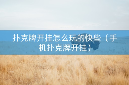 扑克牌开挂怎么玩的快些（手机扑克牌开挂）