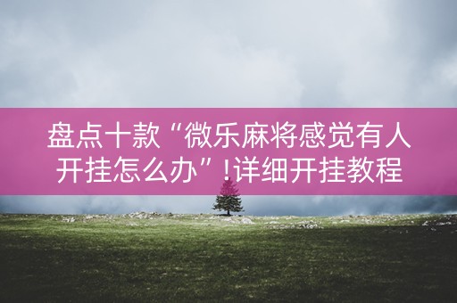 盘点十款“微乐麻将感觉有人开挂怎么办”!详细开挂教程-知乎