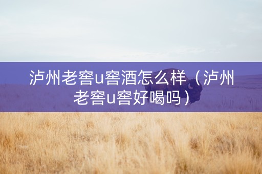 泸州老窖u窖酒怎么样（泸州老窖u窖好喝吗）