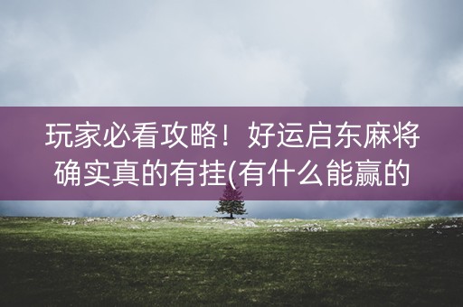 玩家必看攻略！好运启东麻将确实真的有挂(有什么能赢的方法)