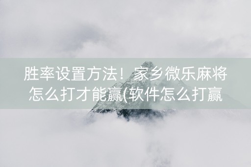 胜率设置方法！家乡微乐麻将怎么打才能赢(软件怎么打赢)