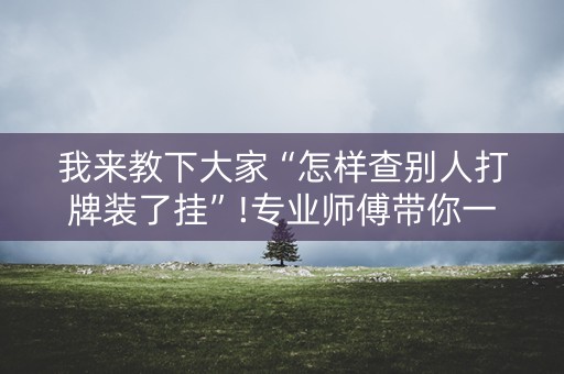 我来教下大家“怎样查别人打牌装了挂”!专业师傅带你一起了解（详细教程）-知乎