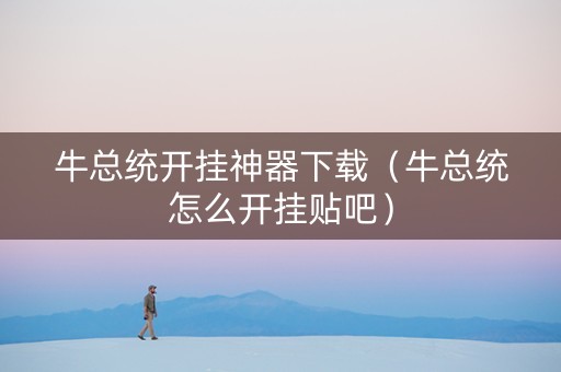牛总统开挂神器下载（牛总统怎么开挂贴吧）