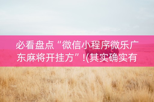必看盘点“微信小程序微乐广东麻将开挂方”!(其实确实有挂)-知乎