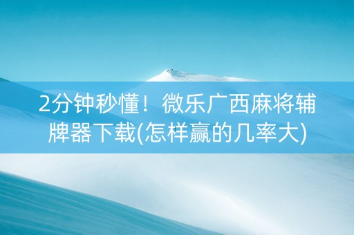 2分钟秒懂！微乐广西麻将辅牌器下载(怎样赢的几率大)