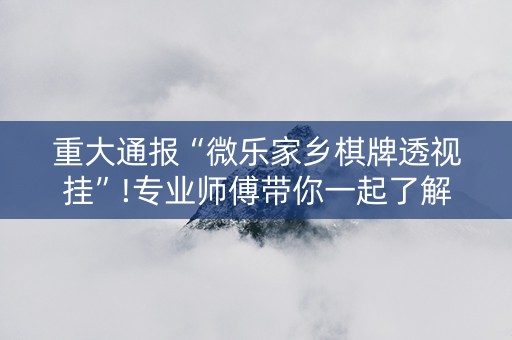 重大通报“微乐家乡棋牌透视挂”!专业师傅带你一起了解（详细教程）-知乎