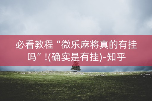 必看教程“微乐麻将真的有挂吗”!(确实是有挂)-知乎
