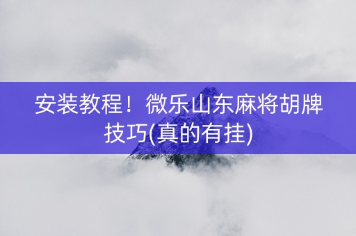 安装教程！微乐山东麻将胡牌技巧(真的有挂)