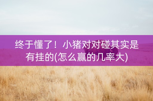终于懂了！小猪对对碰其实是有挂的(怎么赢的几率大)