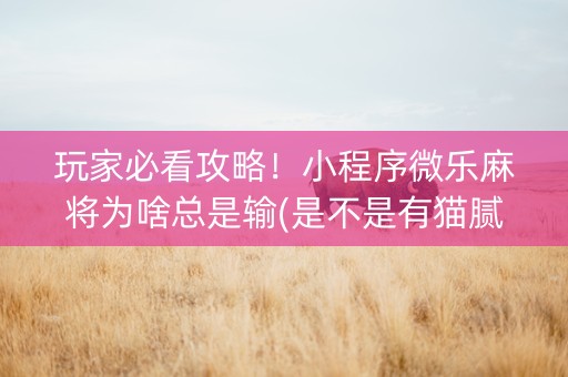 玩家必看攻略！小程序微乐麻将为啥总是输(是不是有猫腻)