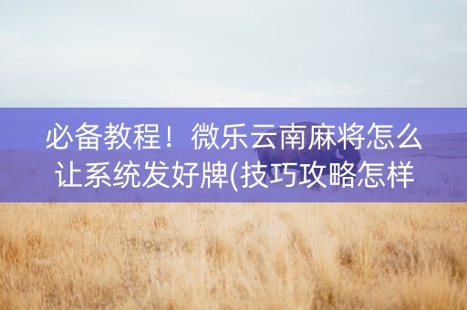 必备教程！微乐云南麻将怎么让系统发好牌(技巧攻略怎样拿好牌)