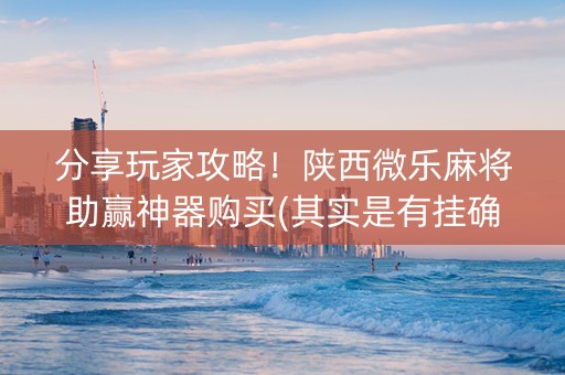 分享玩家攻略！陕西微乐麻将助赢神器购买(其实是有挂确实有挂)