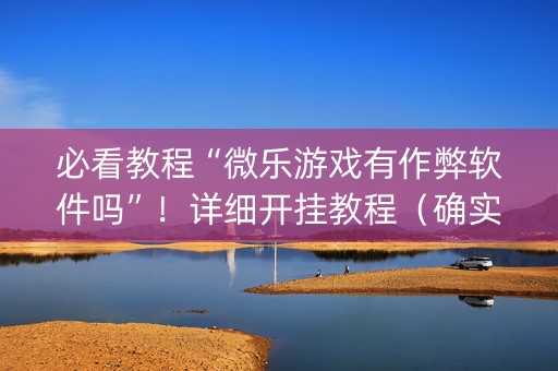 必看教程“微乐游戏有作弊软件吗”！详细开挂教程（确实真的有挂)-知乎