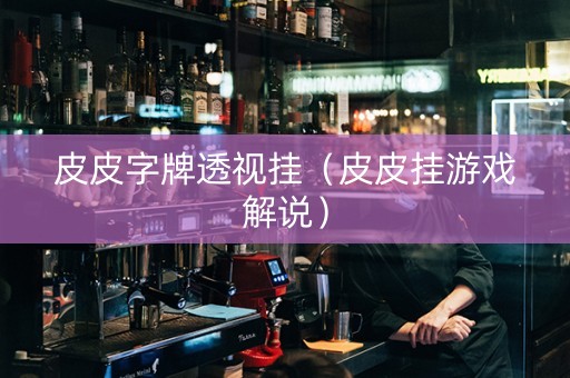 皮皮字牌透视挂（皮皮挂游戏解说）