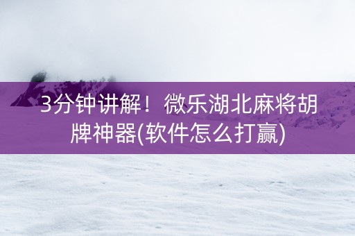 3分钟讲解！微乐湖北麻将胡牌神器(软件怎么打赢)