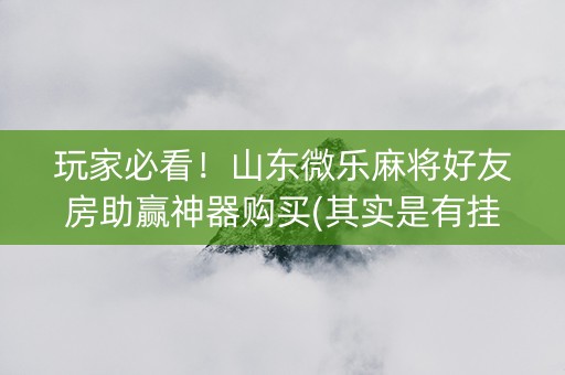 玩家必看！山东微乐麻将好友房助赢神器购买(其实是有挂确实有挂)