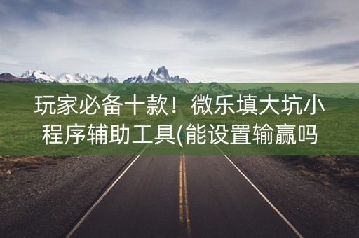 玩家必备十款！微乐填大坑小程序辅助工具(能设置输赢吗)