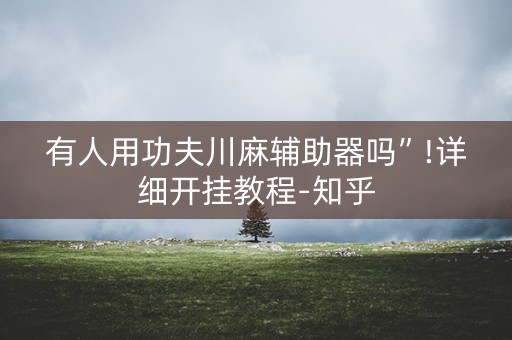 有人用功夫川麻辅助器吗”!详细开挂教程-知乎