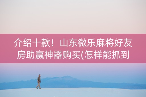 介绍十款！山东微乐麻将好友房助赢神器购买(怎样能抓到好牌)