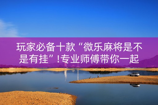 玩家必备十款“微乐麻将是不是有挂”!专业师傅带你一起了解（详细教程）-知乎