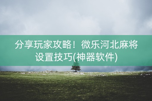 分享玩家攻略！微乐河北麻将设置技巧(神器软件)