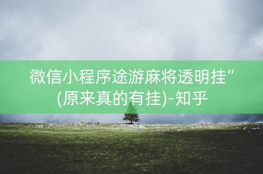 微信小程序途游麻将透明挂”(原来真的有挂)-知乎