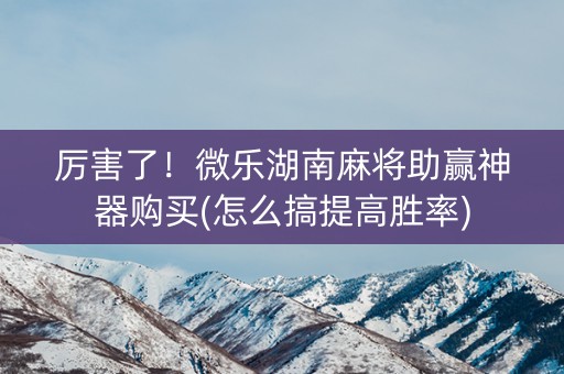 厉害了！微乐湖南麻将助赢神器购买(怎么搞提高胜率)