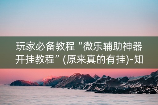 玩家必备教程“微乐辅助神器开挂教程”(原来真的有挂)-知乎