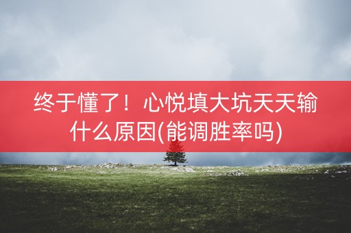 终于懂了！心悦填大坑天天输什么原因(能调胜率吗)