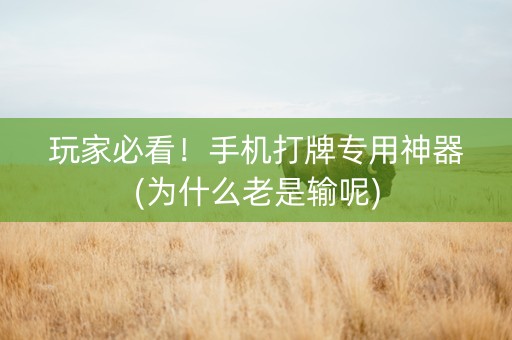 玩家必看！手机打牌专用神器(为什么老是输呢)