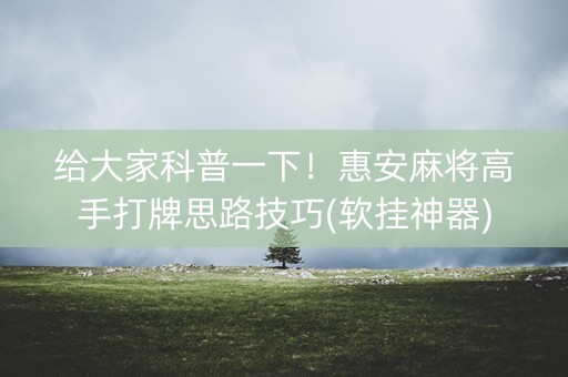 给大家科普一下！惠安麻将高手打牌思路技巧(软挂神器)
