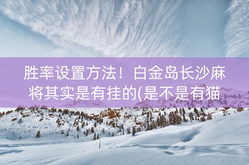 胜率设置方法！白金岛长沙麻将其实是有挂的(是不是有猫腻)