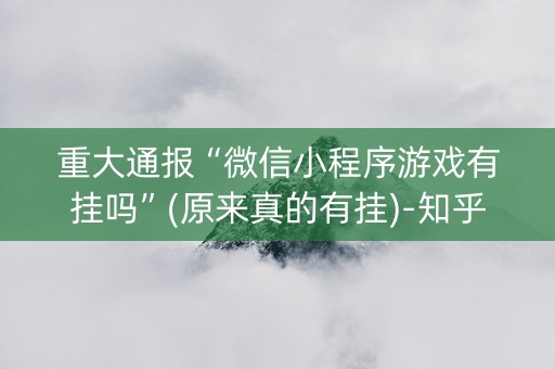 重大通报“微信小程序游戏有挂吗”(原来真的有挂)-知乎